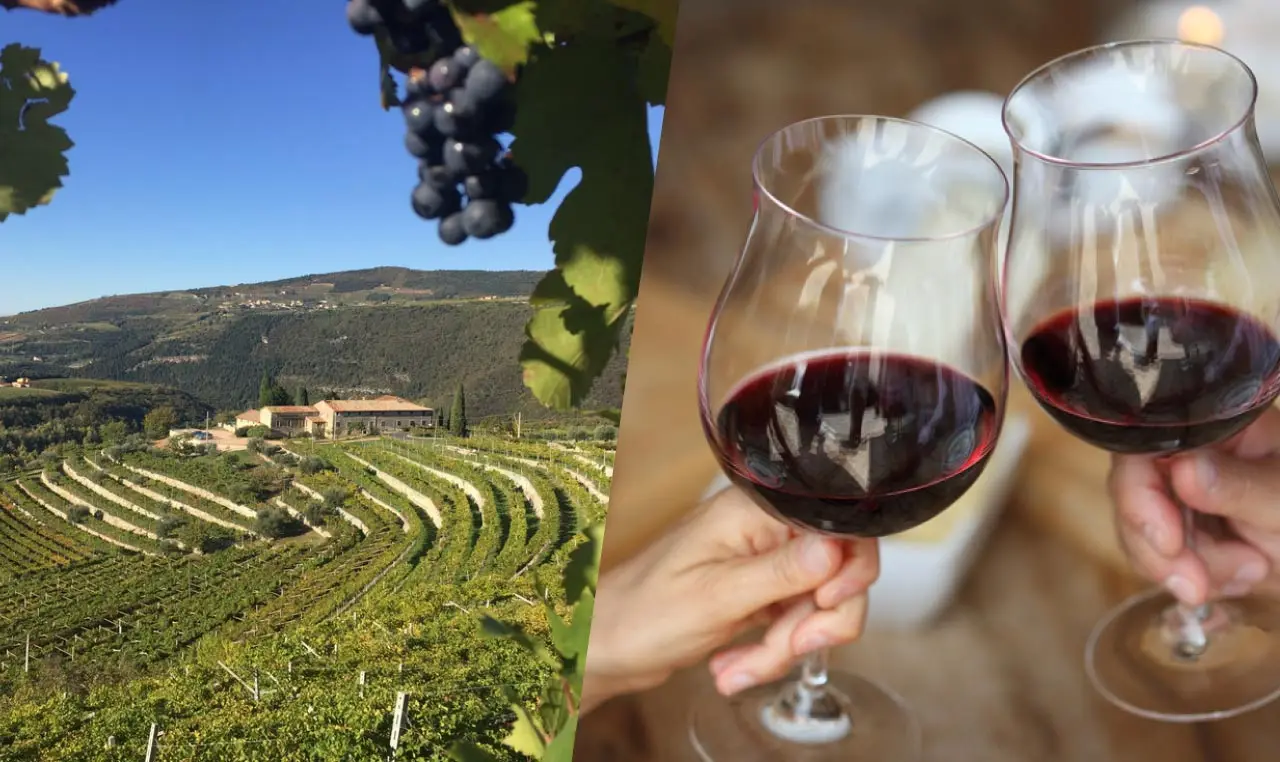 Vigneti della Valpolicella e un brindisi con vino rosso