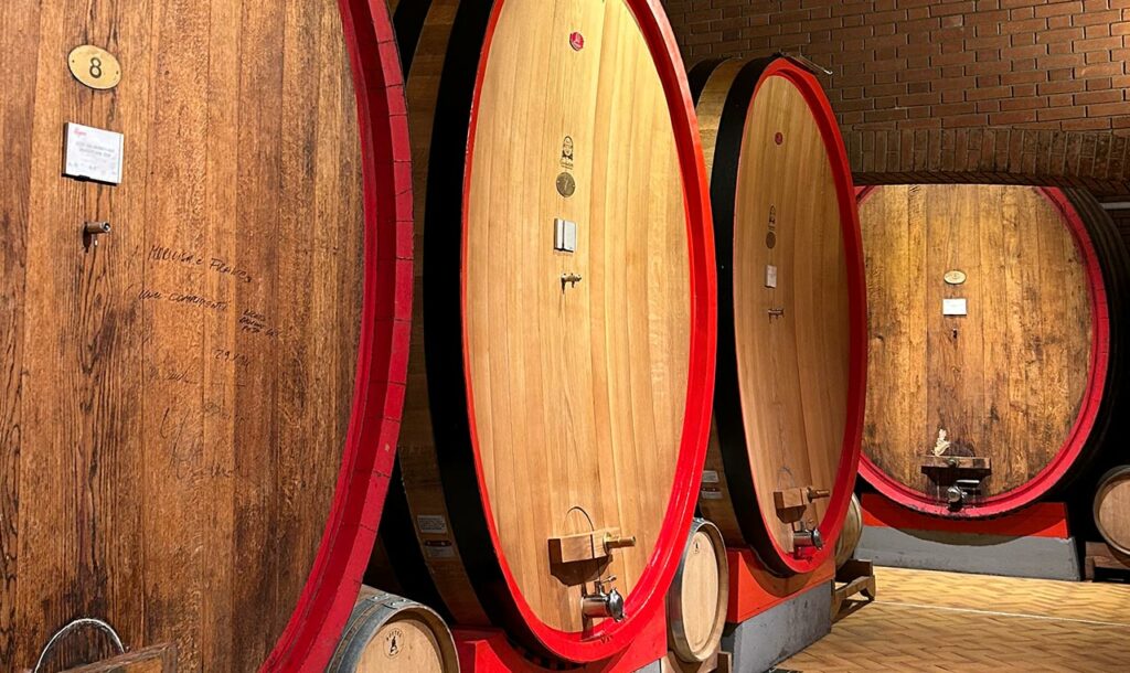 Tour Cantine Valpolicella