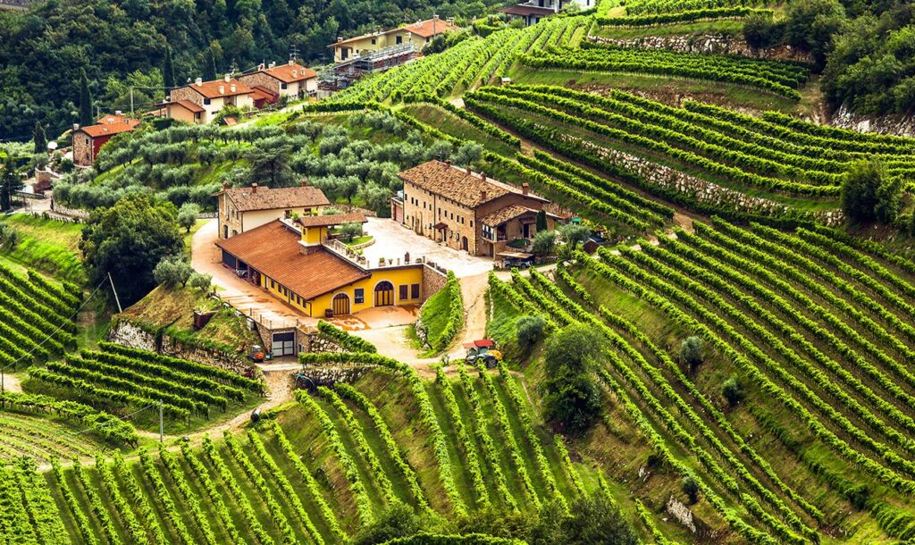 Valpolicella Tour