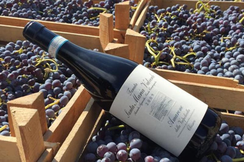 Wine Tasting Valpolicella